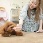 代表あいさつ