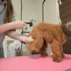 メニュー