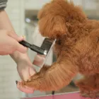コンセプト